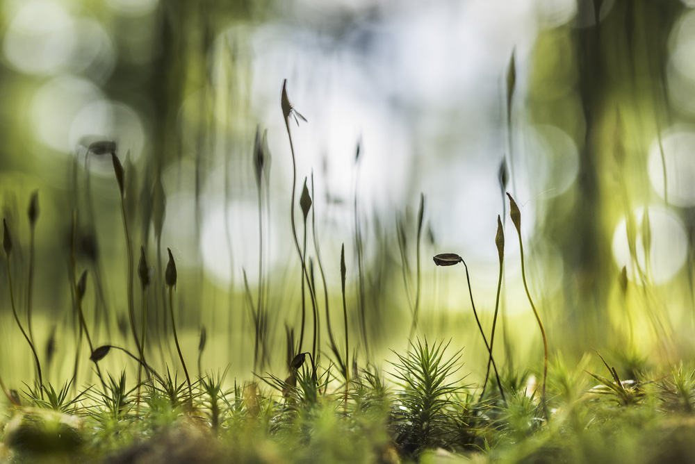 3. Platz Robert Seitz